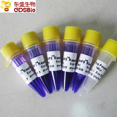 FS PCR Master Mix PCR Kit để phát hiện axit nucleic DNA RNA P3072 1ml × 5