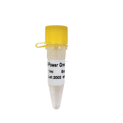 Power Green PCR Reagent Mix P2101 Hiệu quả khuếch đại cao